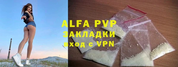 хмурый Верея