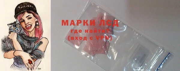 индика Верхнеуральск