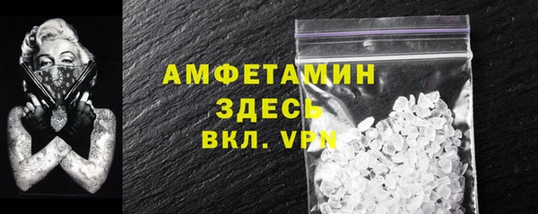 хмурый Верея