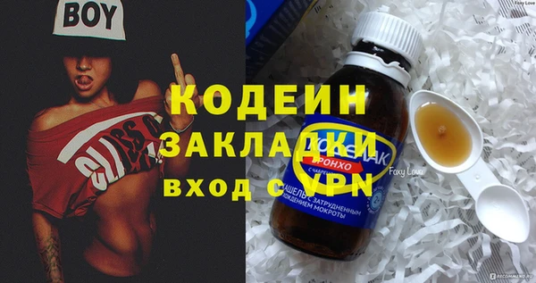 хмурый Верея