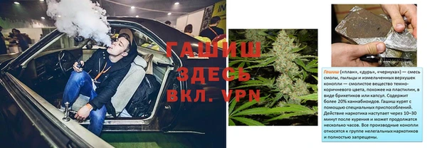 хмурый Верея