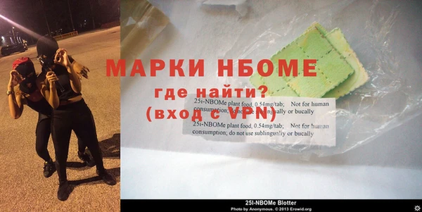 хмурый Верея