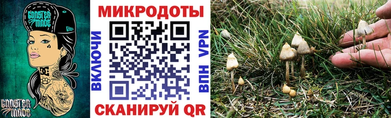 купить закладку Братск Галлюциногенные грибы GOLDEN TEACHER